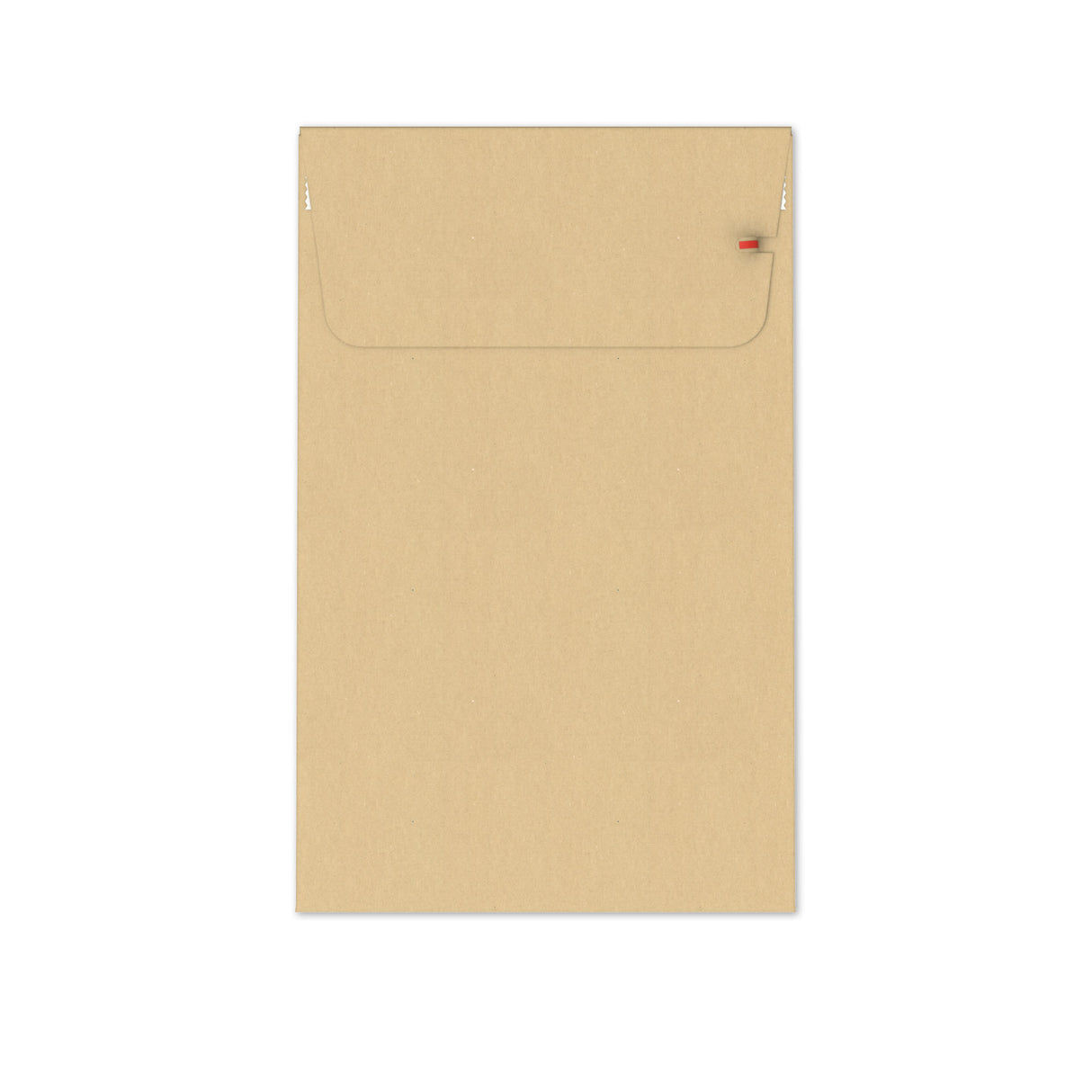 Reusable Paper Mailing Bags